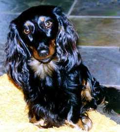 Photograph of Nicky
